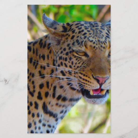 Gefleckter Leopard Briefpapier (Vorderseite)