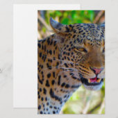 Gefleckter Leopard Briefpapier (Vorne/Hinten)