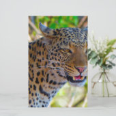 Gefleckter Leopard Briefpapier (Stehend Vorderseite)