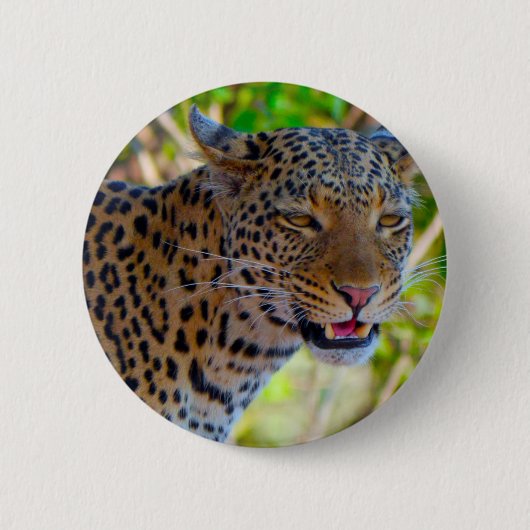 Gefleckter Leopard Button (Vorderseite)