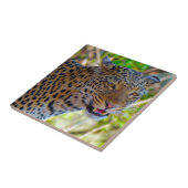 Gefleckter Leopard Fliese (Seite)