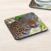 Gefleckter Leopard Getränkeuntersetzer (Linke Seite)