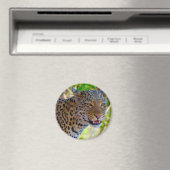Gefleckter Leopard Magnet (In Situ (Geschirrspüler))