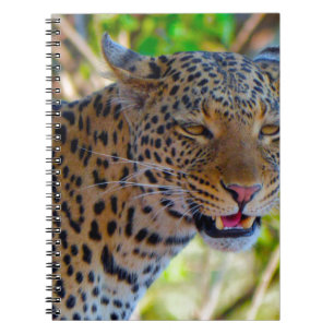 Gefleckter Leopard Notizblock