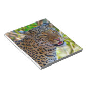 Gefleckter Leopard Notizblock (angewinkelt)