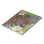 Gefleckter Leopard Notizblock (Rotiert)