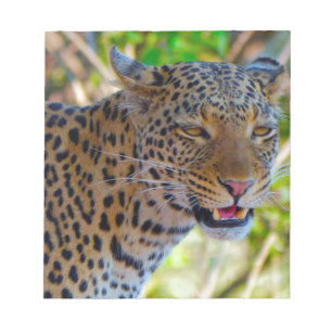 Gefleckter Leopard Notizblock