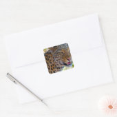 Gefleckter Leopard Quadratischer Aufkleber (Umschlag)