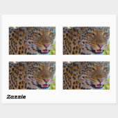 Gefleckter Leopard Rechteckiger Aufkleber (Blatt)