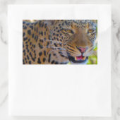 Gefleckter Leopard Rechteckiger Aufkleber (Tasche)