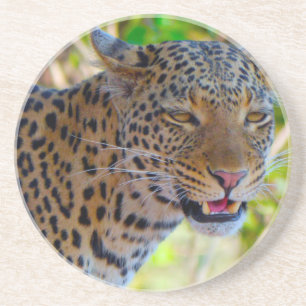 Gefleckter Leopard Untersetzer