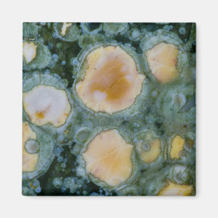 Gefleckter Ozean-Jasper Magnet
