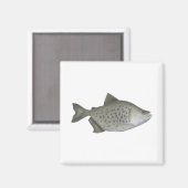 Gefleckter Piranha Magnet (Vorderseite/Rückseite)