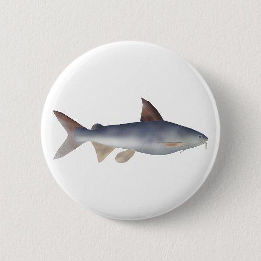 Gefleckter Wels Button (Vorderseite)