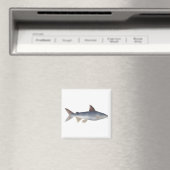 Gefleckter Wels Magnet (In Situ (Geschirrspüler))