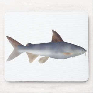 Gefleckter Wels Mousepad