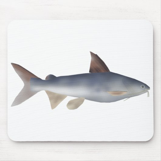 Gefleckter Wels Mousepad (Vorne)