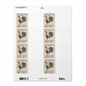 ‚Geflügel‘ (Vorne)