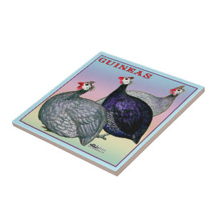 Geflügel der Guinea-drei Fliese