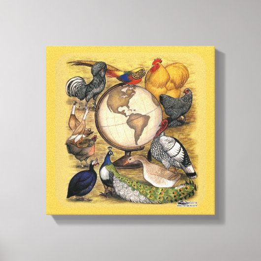 Geflügel der Welt Leinwanddruck (Vorderseite)