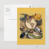 Geflügel der Welt Postkarte (Vorne/Hinten)