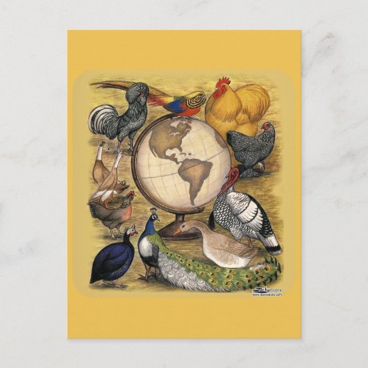 Geflügel der Welt Postkarte (Vorderseite)