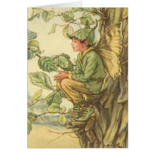 Geflügel-Elm-Fee in einem Baum