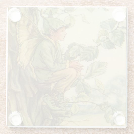 Geflügel-Elm-Fee in einem Baum Glasuntersetzer (Rückseite)