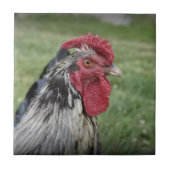 Geflügel-Gesicht Fliese (Vorderseite)