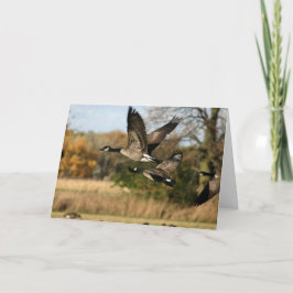 Geflügel im Flug im Herbst unverbaute Notecard Karte