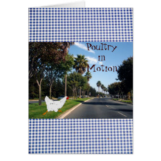 Geflügel in Bewegung