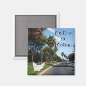 Geflügel in Bewegung Magnet (Vorderseite/Rückseite)