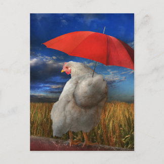 Geflügel - Regen vorhersagen Postkarte