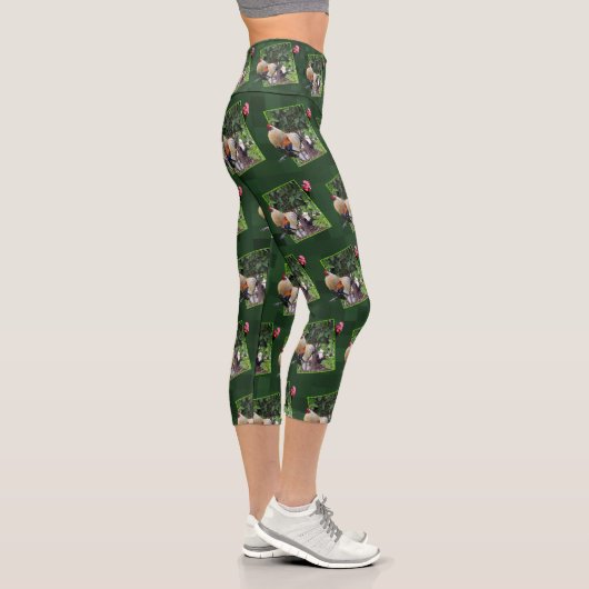 **"Geflügel spielen: Hühnerverstecken und suchen i Capri Leggings (Rechts)
