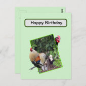 **"Geflügel spielen: Hühnerverstecken und suchen i Postkarte (Vorne/Hinten)