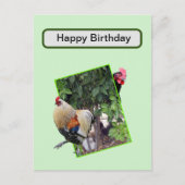 **"Geflügel spielen: Hühnerverstecken und suchen i Postkarte (Vorderseite)