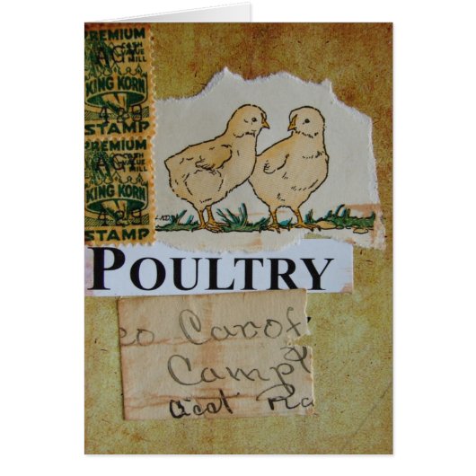 GeflügelCollage (Vorne)