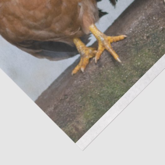 Geflügelfarm 2 dekoupage Tissue Seidenpapier (Ausschnitt)