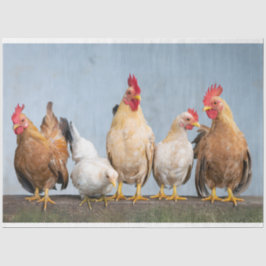 Geflügelfarm 2 dekoupage Tissue Seidenpapier