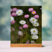 Geflüster der Wildblumen Acrylschild (Neutral)