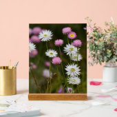 Geflüster der Wildblumen Acrylschild (Hochzeit)
