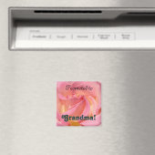Gefördert zur Großmutter! Magnetgeschenke rosa Magnet (In Situ (Geschirrspüler))
