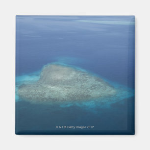 Geformtes Korallenriff des Herzens Magnet