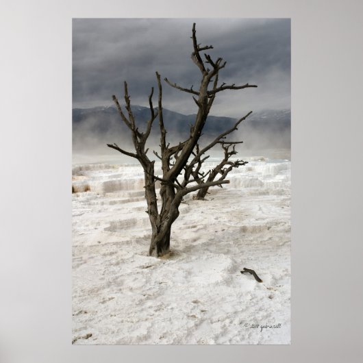 Gefrierfach Poster (Vorne)