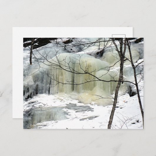 Gefrierfallen, gelb postkarte (Vorne/Hinten)