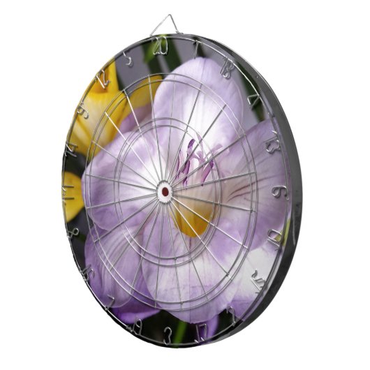 Gefrierfisch Dartscheibe (Vorderseite rechts)