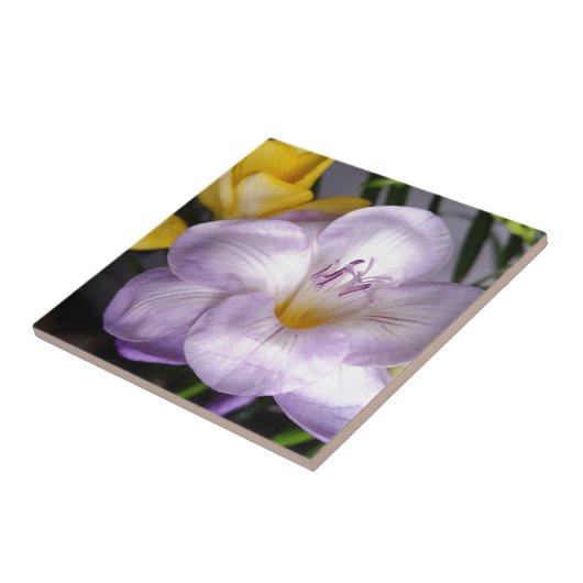 Gefrierfisch Fliese (Seite)