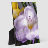 Gefrierfisch Fotoplatte (Seite)