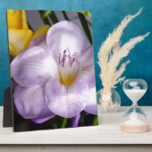 Gefrierfisch Fotoplatte (Seite)