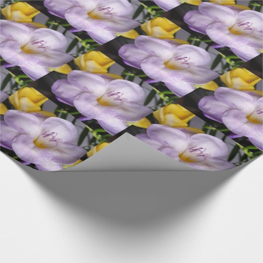 Gefrierfisch Geschenkpapier (Ecke)